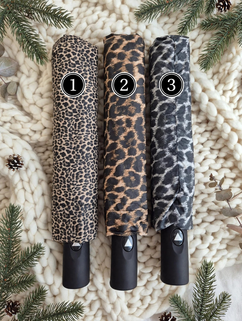 Paraguas